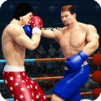 拳击明星冠军3D无限星星版2.5最新版