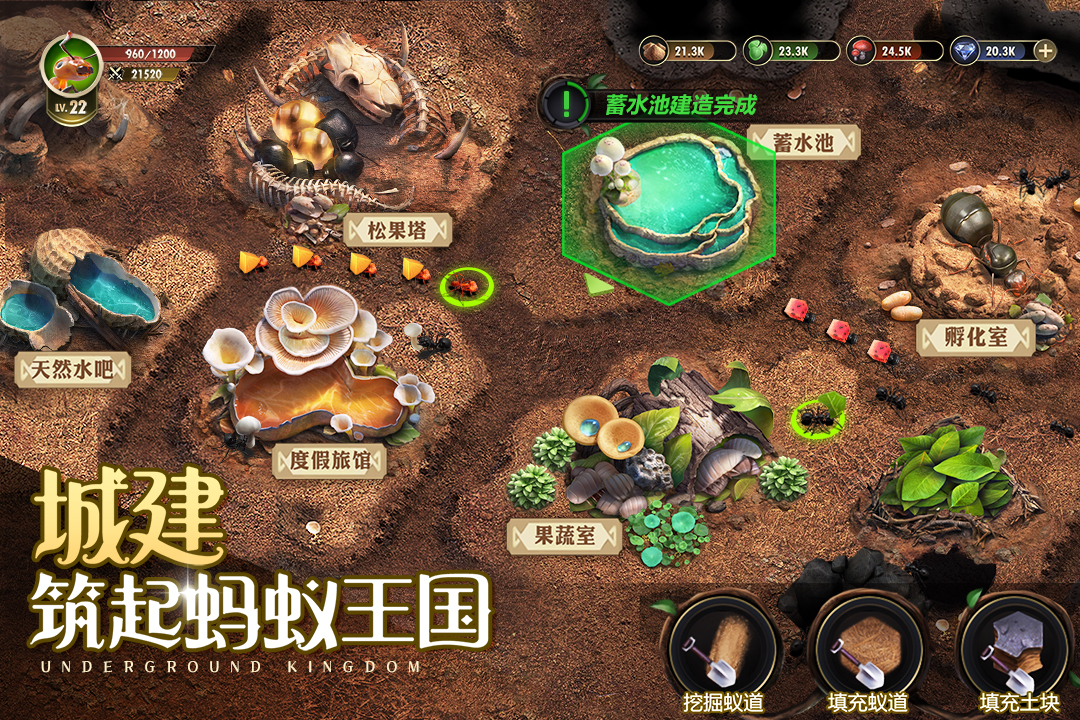 小小蚁国最新版中文版1.41.0安卓版截图1