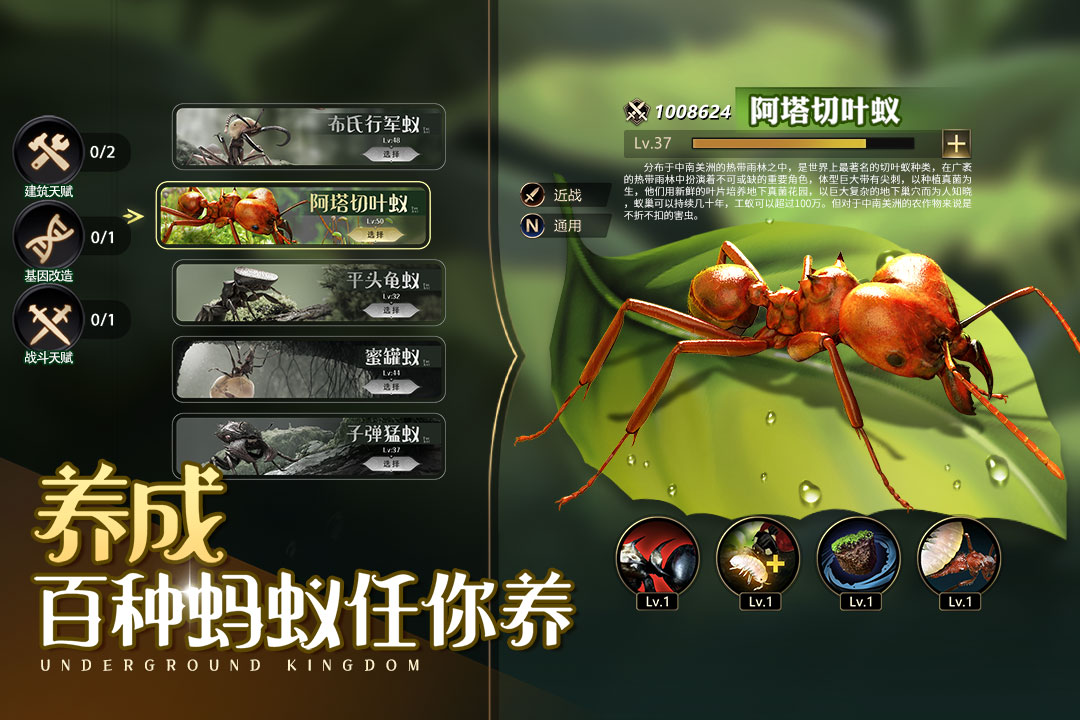 小小蚁国最新版中文版1.41.0安卓版截图4