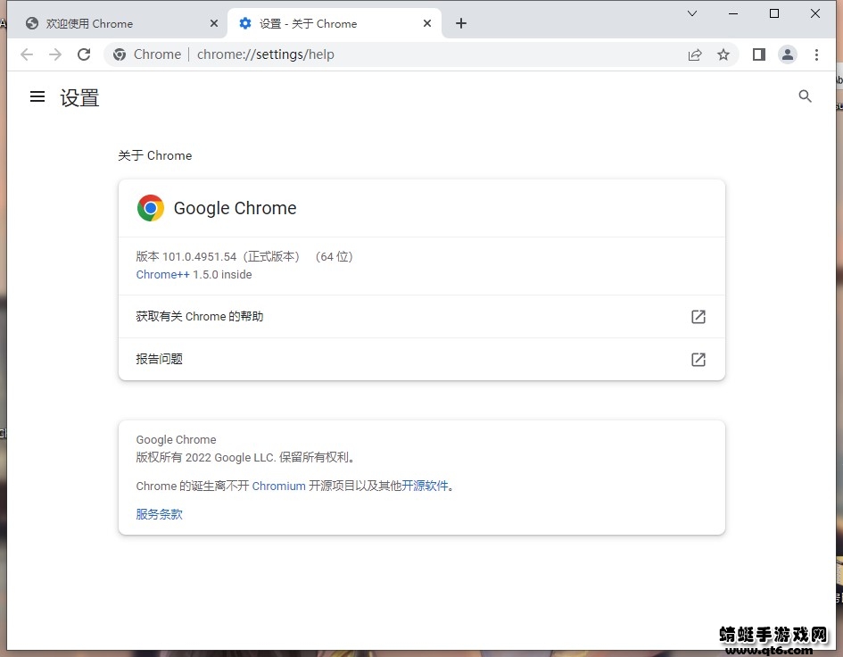 Google Chrome绿色免安装版108.0.5359.125便携版截图0